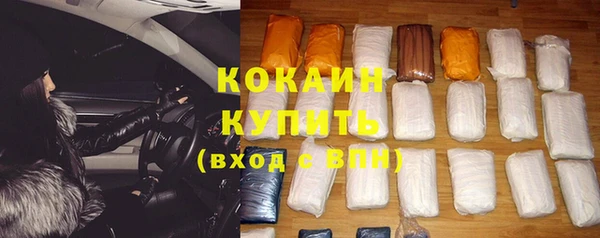 шишки Коряжма