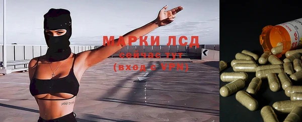 прущий лед Костерёво