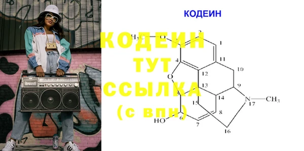 прущий лед Костерёво