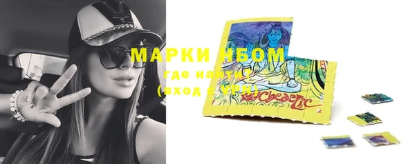 шишки Коряжма