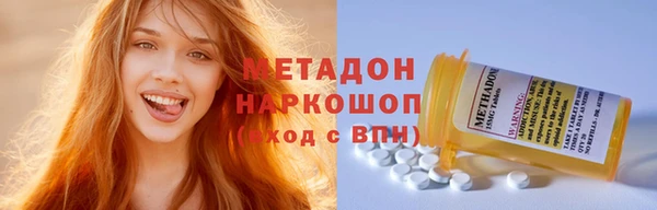 сатива Корсаков