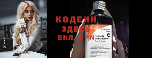 сатива Корсаков