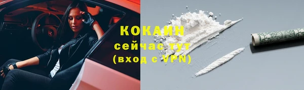 шишки Коряжма