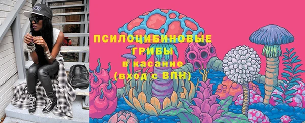 прущий лед Костерёво