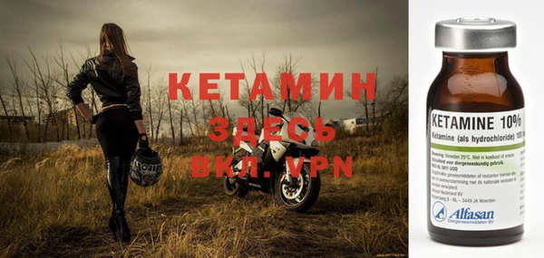 сатива Корсаков