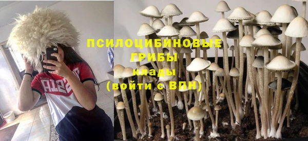 сатива Корсаков
