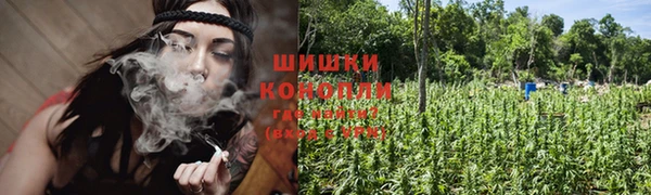 шишки Коряжма