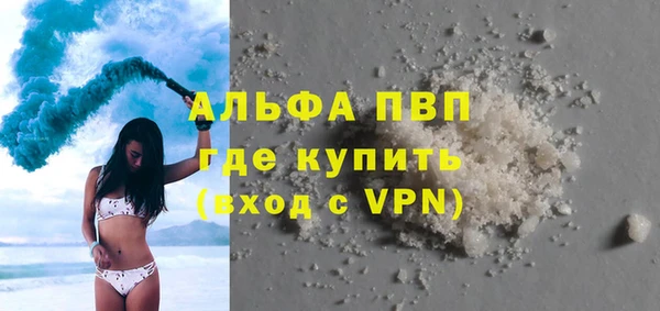 шишки Коряжма