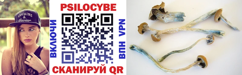 Псилоцибиновые грибы GOLDEN TEACHER  Купить закладки  Нытва 
